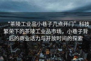 “茶陵工業(yè)品小巷子幾點(diǎn)開門”科技繁榮下的茶陵工業(yè)品市場，小巷子背后的商業(yè)活力與開放時(shí)間的探索