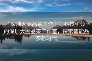 “深圳大圈品茶工作室”科技引領下的深圳大圈品茶工作室，探索智能品茶新時代