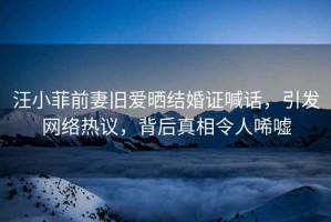 汪小菲前妻舊愛曬結婚證喊話，引發網絡熱議，背后真相令人唏噓