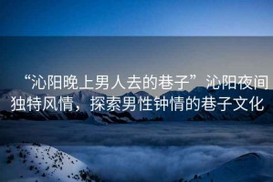 “沁陽(yáng)晚上男人去的巷子”沁陽(yáng)夜間獨(dú)特風(fēng)情，探索男性鐘情的巷子文化