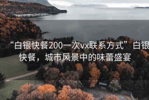 “白銀快餐200一次vx聯系方式”白銀快餐，城市風景中的味蕾盛宴