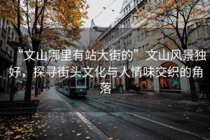 “文山哪里有站大街的”文山風景獨好，探尋街頭文化與人情味交織的角落