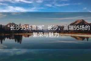 “長(zhǎng)沙95場(chǎng)高端”長(zhǎng)沙，高端95場(chǎng)的繁榮與魅力
