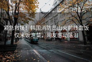 緊急救援！韓國消防員山火前線盒飯僅米飯泡菜，網(wǎng)友感動落淚