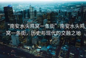 “南安水頭雞窩一條街”南安水頭雞窩一條街，歷史與現代的交融之地