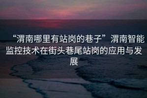“渭南哪里有站崗的巷子”渭南智能監控技術在街頭巷尾站崗的應用與發展
