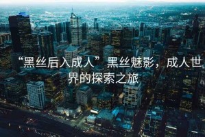 “黑絲后入成人”黑絲魅影，成人世界的探索之旅