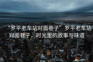“羅平老車站對面巷子”羅平老車站對面巷子，時光里的故事與味道