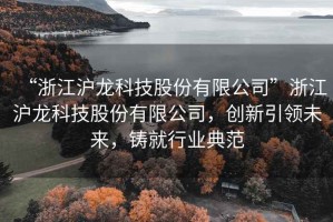 “浙江滬龍科技股份有限公司”浙江滬龍科技股份有限公司，創新引領未來，鑄就行業典范