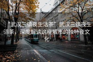 “武漢三鎮夜生活茶”武漢三鎮夜生活茶，深度解讀這座城市的獨特夜文化