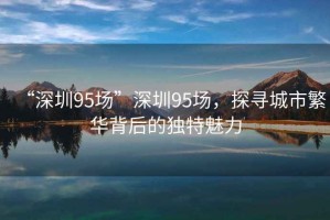 “深圳95場”深圳95場，探尋城市繁華背后的獨特魅力