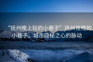 “撫州晚上玩的小巷子”撫州夜晚的小巷子，城市隱秘之心的脈動