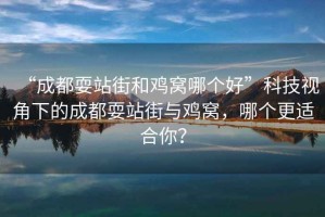 “成都耍站街和雞窩哪個好”科技視角下的成都耍站街與雞窩，哪個更適合你？