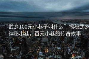 “武鄉100元小巷子叫什么”揭秘武鄉神秘小巷，百元小巷的傳奇故事