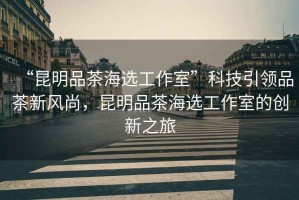 “昆明品茶海選工作室”科技引領品茶新風尚，昆明品茶海選工作室的創新之旅
