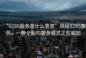 “9295服務是什么意思”揭秘9295服務，一種全新的服務模式正在崛起