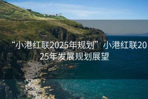 “小港紅聯2025年規劃”小港紅聯2025年發展規劃展望