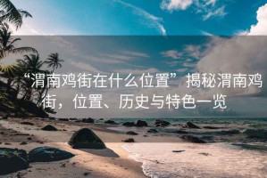 “渭南雞街在什么位置”揭秘渭南雞街，位置、歷史與特色一覽