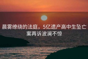 晨霧繚繞的法庭，5億遺產高中生墜亡案再訴波瀾不驚