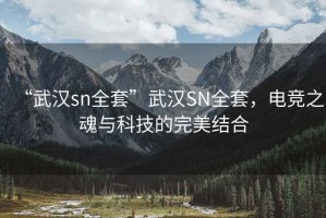 “武漢sn全套”武漢SN全套，電競之魂與科技的完美結合