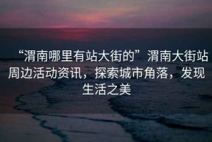 “渭南哪里有站大街的”渭南大街站周邊活動資訊，探索城市角落，發現生活之美