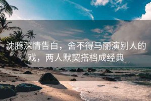 沈騰深情告白，舍不得馬麗演別人的戲，兩人默契搭檔成經典