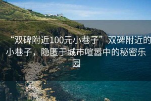 “雙碑附近100元小巷子”雙碑附近的小巷子，隱匿于城市喧囂中的秘密樂園
