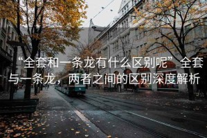 “全套和一條龍有什么區別呢”全套與一條龍，兩者之間的區別深度解析
