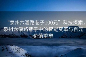 “泉州六灌路巷子100元”科技探索，泉州六灌路巷子中的智能變革與百元價值重塑