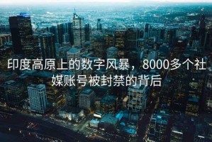 印度高原上的數(shù)字風暴，8000多個社媒賬號被封禁的背后
