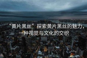 “黃片黑絲”探索黃片黑絲的魅力，一種視覺(jué)與文化的交織