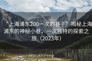 “上海浦東200一次的巷子”揭秘上海浦東的神秘小巷，一次獨特的探索之旅（2023年）