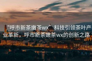 “呼市新茶嫩茶wx”科技引領茶葉產業革新，呼市新茶嫩茶wx的創新之路