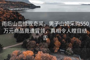 雨后山巒驚現(xiàn)奇聞，男子山姆采購550萬元商品竟遭冒領(lǐng)，真相令人瞠目結(jié)舌