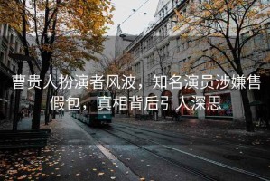 曹貴人扮演者風(fēng)波，知名演員涉嫌售假包，真相背后引人深思