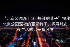 “北京公園晚上100塊錢的巷子”揭秘北京公園深夜的百元巷子，探尋城市夜生活的另一番風情