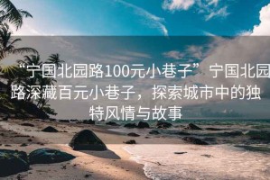 “寧國北園路100元小巷子”寧國北園路深藏百元小巷子，探索城市中的獨(dú)特風(fēng)情與故事