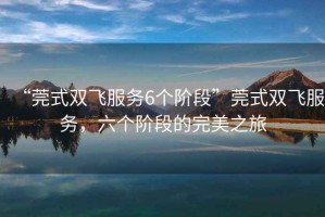 “莞式雙飛服務(wù)6個階段”莞式雙飛服務(wù)，六個階段的完美之旅