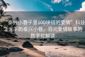 “泰興小巷子里100塊錢的愛情”科技之光下的泰興小巷，百元愛情故事的數(shù)字化解讀