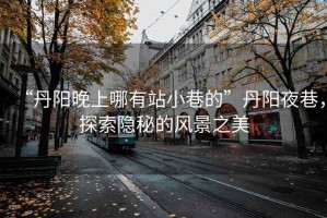 “丹陽晚上哪有站小巷的”丹陽夜巷，探索隱秘的風景之美
