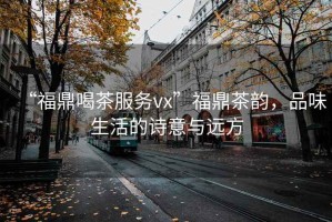 “福鼎喝茶服務vx”福鼎茶韻，品味生活的詩意與遠方