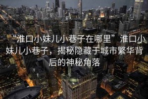 “淮口小妹兒小巷子在哪里”淮口小妹兒小巷子，揭秘隱藏于城市繁華背后的神秘角落