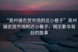 “英州鎮農貿市場附近小巷子”英州鎮農貿市場附近小巷子，揭示繁華背后的故事