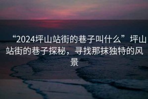 “2024坪山站街的巷子叫什么”坪山站街的巷子探秘，尋找那抹獨特的風景