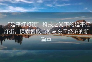 “延平紅燈街”科技之光下的延平紅燈街，探索智能監控與夜間經濟的新篇章
