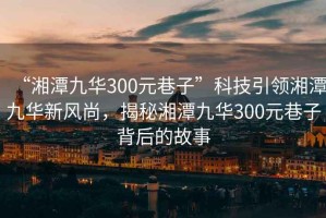 “湘潭九華300元巷子”科技引領湘潭九華新風尚，揭秘湘潭九華300元巷子背后的故事
