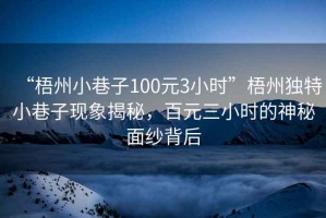 “梧州小巷子100元3小時(shí)”梧州獨(dú)特小巷子現(xiàn)象揭秘，百元三小時(shí)的神秘面紗背后