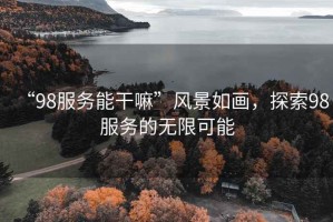 “98服務(wù)能干嘛”風(fēng)景如畫(huà)，探索98服務(wù)的無(wú)限可能