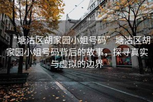 “塘沽區(qū)胡家園小姐號碼”塘沽區(qū)胡家園小姐號碼背后的故事，探尋真實與虛擬的邊界