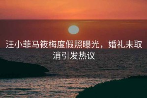 汪小菲馬筱梅度假照曝光，婚禮未取消引發熱議